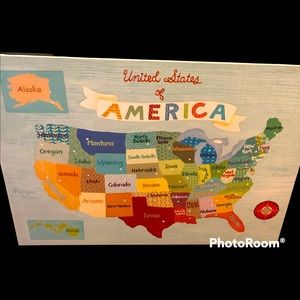 States of America painting